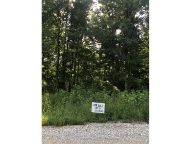 Little Cabin Resort building lot - Lake Lot For Sale in Falls Of Rough, Kentucky