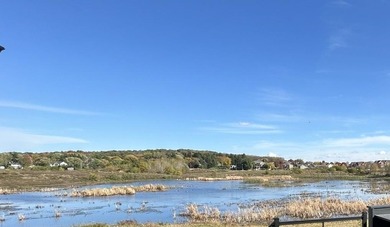 (private lake, pond, creek) Lot For Sale in Verona Wisconsin