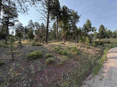 Monte Verde Lake Lot For Sale in Angel Fire New Mexico