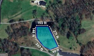 Lake Lot For Sale in Blairsville, Georgia