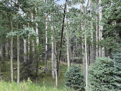 Nice heavily wooded three quarter acre lot. Sloping entry to lot - photo 2