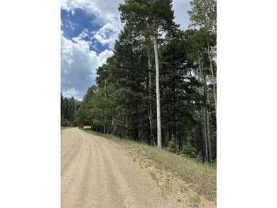Nice heavily wooded three quarter acre lot. Sloping entry to lot - photo 3