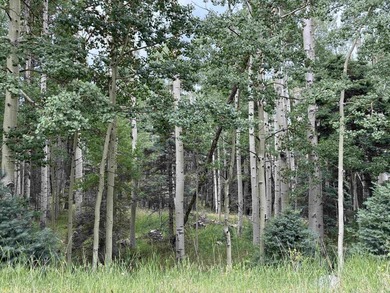 Nice heavily wooded three quarter acre lot. Sloping entry to lot - photo 4