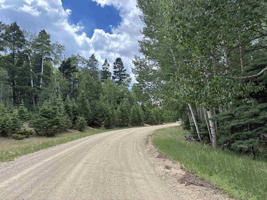 Nice heavily wooded three quarter acre lot. Sloping entry to lot - photo 6