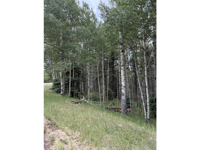 Nice heavily wooded three quarter acre lot. Sloping entry to lot - photo 8