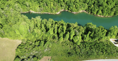 Beautiful Location in Hidden Springs on Norris Lake - Lake Lot For Sale in La Follette, Tennessee