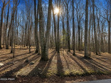 Tucked away on a private wooded property in Gold Key Estates - photo 22