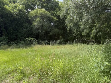 Wow! $30k price reduction! Minutes to downtown Charleston, Park - photo 2