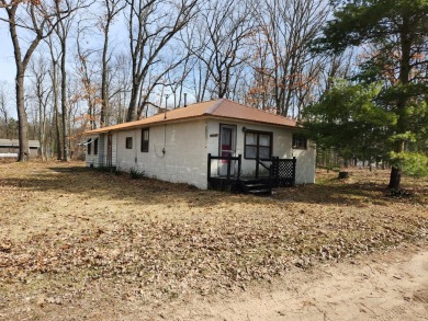 Lake Home For Sale in Bitely, Michigan