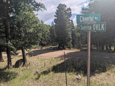 Monte Verde Lake Lot For Sale in Angel Fire New Mexico