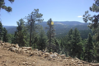 Monte Verde Lake Acreage For Sale in Angel Fire New Mexico