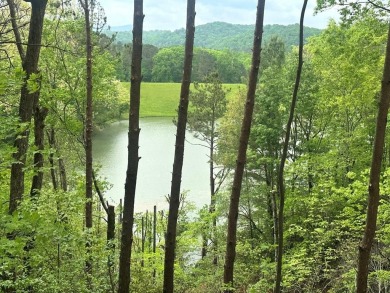 Lake Home For Sale in Ellijay, Georgia
