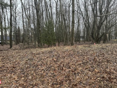 Lake Lot For Sale in Weidman, Michigan