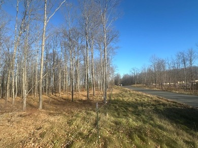 Mud Lake - Florence County Acreage For Sale in Florence Wisconsin