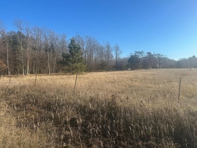 Mud Lake - Florence County Acreage For Sale in Florence Wisconsin