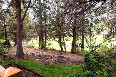 Exceptional golf course home on .33-acre lot in Rivers Edge - photo 10