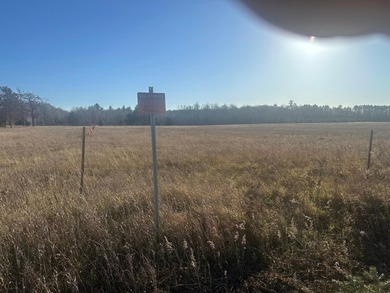 Mud Lake - Florence County Acreage For Sale in Florence Wisconsin