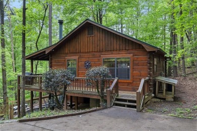 Lake Home For Sale in Blue Ridge, Georgia
