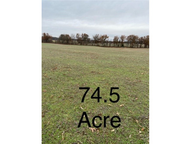 (private lake, pond, coastal) Acreage For Sale in Puxico Missouri