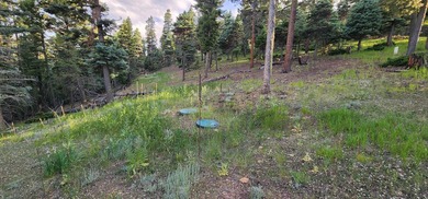 Additional listing photo 3