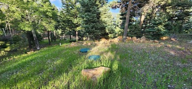 Additional listing photo 4
