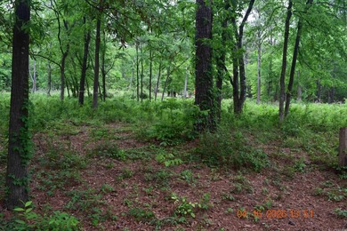Five adjoining lots located off Big Duke Trail on Lake Hamilton - photo 6