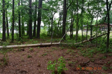 Five adjoining lots located off Big Duke Trail on Lake Hamilton - photo 7