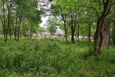 Five adjoining lots located off Big Duke Trail on Lake Hamilton - photo 9