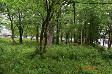 Five adjoining lots located off Big Duke Trail on Lake Hamilton - photo 10