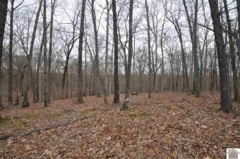Lake Acreage For Sale in Murray, Kentucky