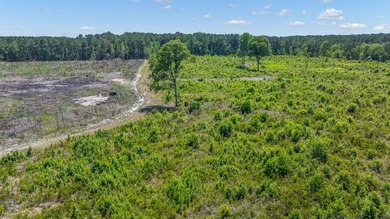 This approximately 53-acre parcel sits in a community defined by - photo 1