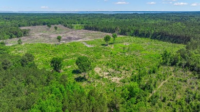 This approximately 53-acre parcel sits in a community defined by - photo 5