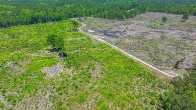 This approximately 53-acre parcel sits in a community defined by - photo 6