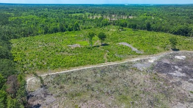 This approximately 53-acre parcel sits in a community defined by - photo 7