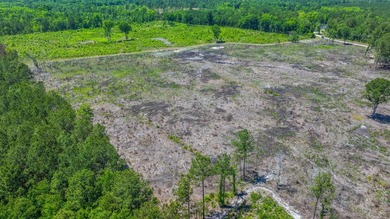 This approximately 53-acre parcel sits in a community defined by - photo 8