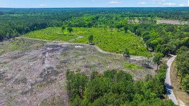 This approximately 53-acre parcel sits in a community defined by - photo 9