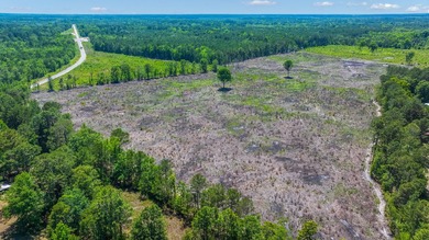 This approximately 53-acre parcel sits in a community defined by - photo 10
