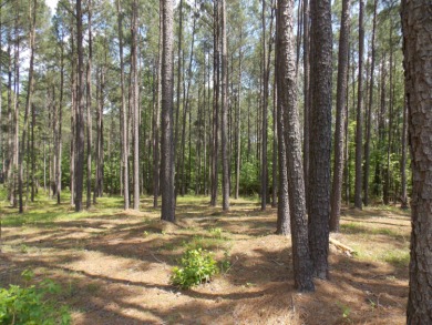 Lake Lot Off Market in Lincolnton, Georgia