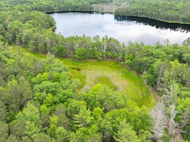 Discover the perfect Northwoods escape to build your dream cabin - photo 2