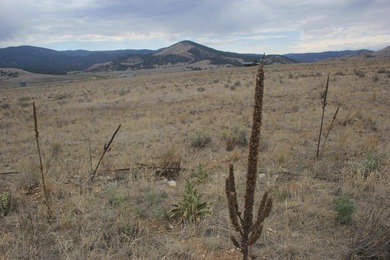 Peaceful views of 360 degrees mountain range. Build your slice - photo 2