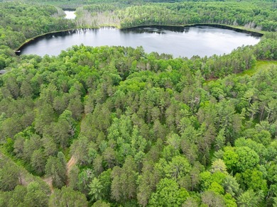 Discover the perfect Northwoods escape to build your dream cabin - photo 4