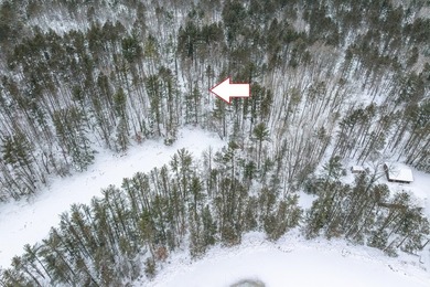 Discover the perfect Northwoods escape to build your dream cabin - photo 7