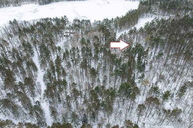 Discover the perfect Northwoods escape to build your dream cabin - photo 8