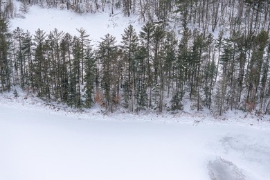 Discover the perfect Northwoods escape to build your dream cabin - photo 9