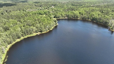 Discover the perfect Northwoods retreat on this 5.35-acre parcel - photo 3