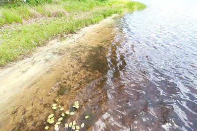 Discover the perfect Northwoods retreat on this 5.35-acre parcel - photo 4