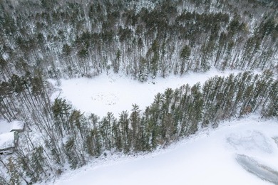 Discover the perfect Northwoods retreat on this 5.35-acre parcel - photo 5