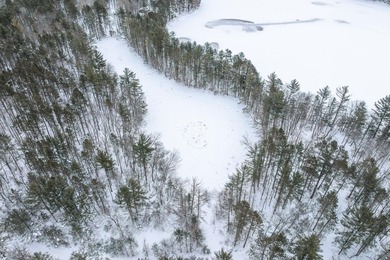 Discover the perfect Northwoods retreat on this 5.35-acre parcel - photo 6