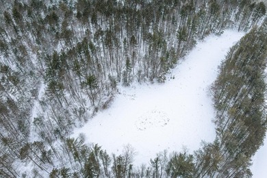 Discover the perfect Northwoods retreat on this 5.35-acre parcel - photo 8