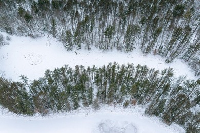 Discover the perfect Northwoods retreat on this 5.35-acre parcel - photo 10